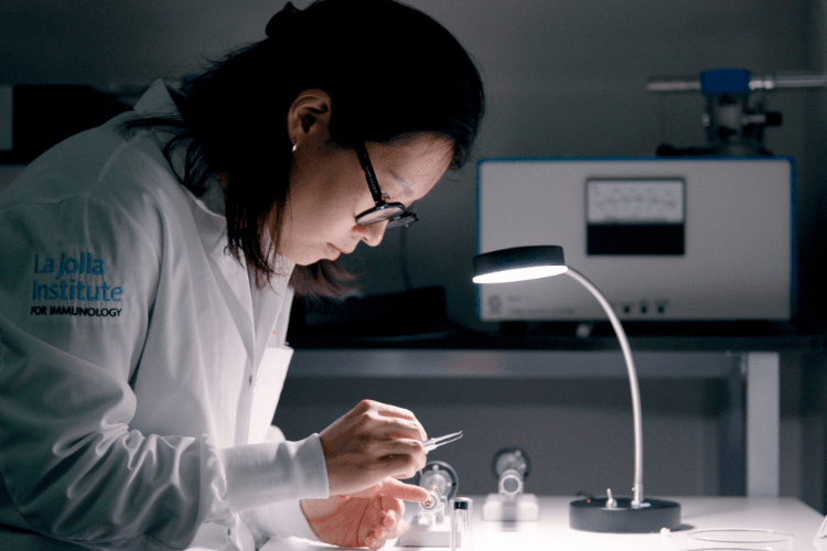 Researcher looking at scientific equipment under a light