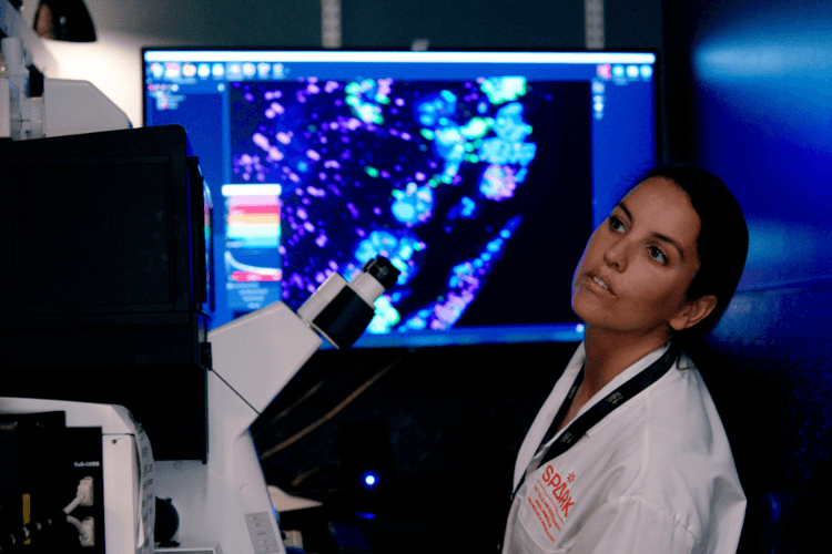 Researcher reviewing images
